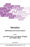 Nematics: Mathematical and Physical Aspects