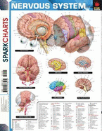 Nervous System SparkCharts