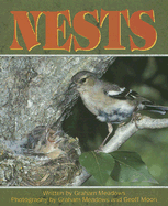 Nests