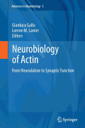 Neurobiology of Actin: From Neurulation to Synaptic Function