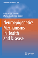 Neuroepigenetics Mechanisms in Health and Disease