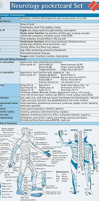 Neurology Pocketcard Set - Borm Bruckmeier Publishing (Creator)