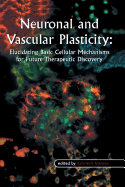 Neuronal and Vascular Plasticity: Elucidating Basic Cellular Mechanisms for Future Therapeutic Discovery