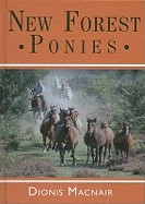 New Forest Ponies