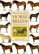 New GT Horse Breeds