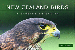 New Zealand Birds: a Diverse Selection