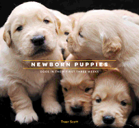 Newborn Puppies