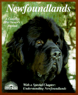 Newfoundlands