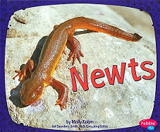 Newts