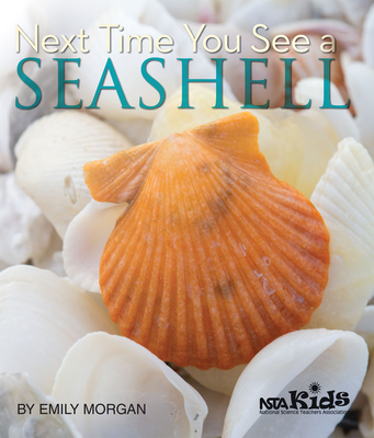 Next Time You See a Seashell - Morgan, Emily