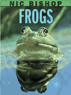 Nic Bishop: Frogs