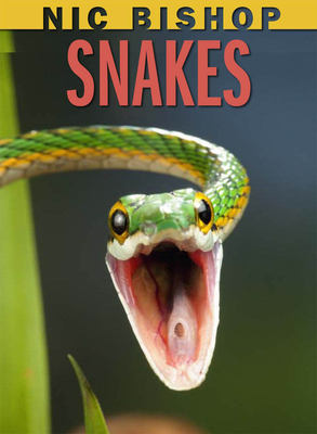Nic Bishop: Snakes - 