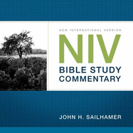NIV Compact Bible Commentary