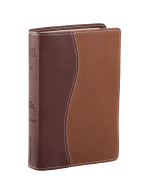 NIV Compact Reference Bible - Zondervan Publishing (Creator)