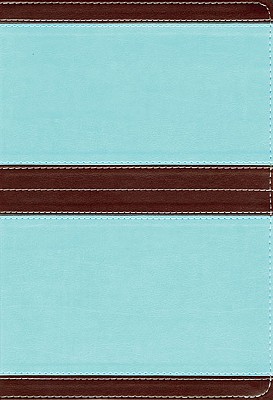 NIV Life Application Study Bible - Zondervan