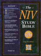 Niv Study Bible
