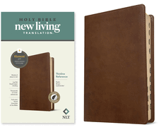 NLT Thinline Reference Bible, Filament Enabled Edition (Red Letter, Leatherlike, Pink, Indexed)