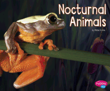 Nocturnal Animals