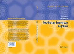 Noetherian Semigroup Algebras