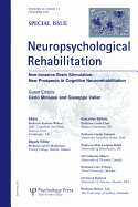 Non-invasive Brain Stimulation: New Prospects in Cognitive Neurorehabilitation