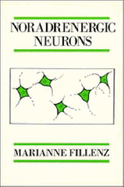 Noradrenergic Neurons