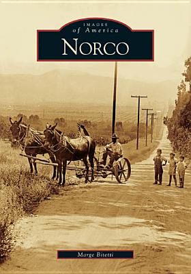 Norco - Bitetti, Margury