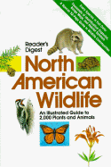 North American Wildlife