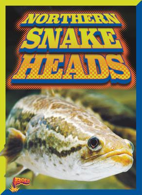 Northern Snakeheads - Ciletti, Barbara