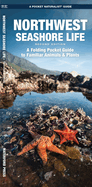 Northwest Seashore Life: A Waterproof Folding Guide to Familiar Animals & Plants
