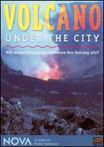 NOVA: Volcano Under the City