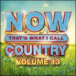 Now That's What I Call Country, Vol. 13