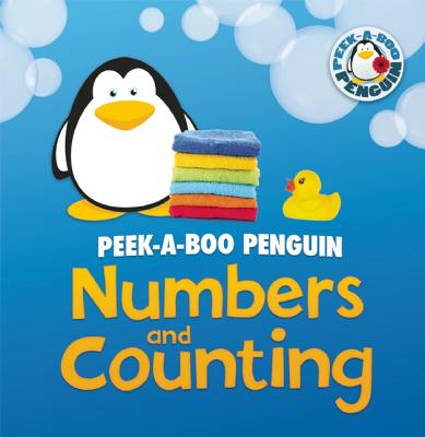 Numbers and Counting - Owen, Ruth