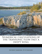 Numerical Calculations of the Transonic Flow Past a Swept Wing