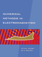 Numerical Methods in Electromagnetism