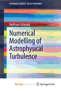 Numerical Modelling of Astrophysical Turbulence