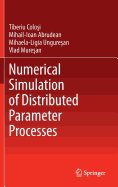 Numerical Simulation of Distributed Parameter Processes