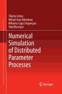 Numerical Simulation of Distributed Parameter Processes