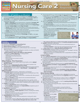 Nursing 2 Laminated Reference Guides - Hauer, Joe (Producer)