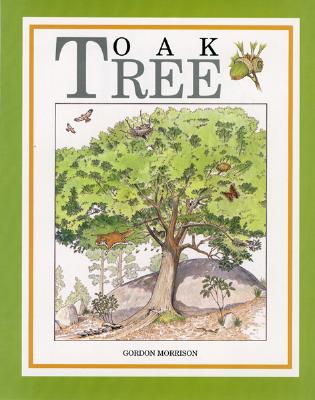 Oak Tree - Morrison, Gordon