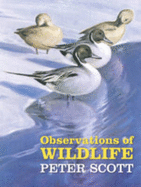 Observations of wildlife