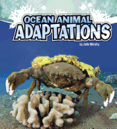 Ocean Animal Adaptations