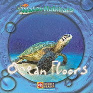 Ocean Floors