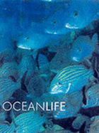 Ocean Life