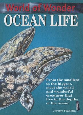 Ocean Life - 