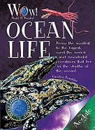 Ocean Life