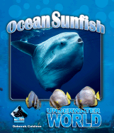 Ocean Sunfish