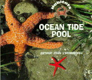 Ocean Tidepool