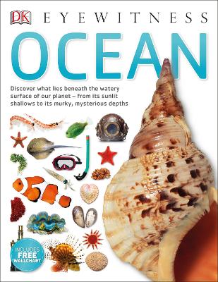 Ocean - Macquitty, Miranda