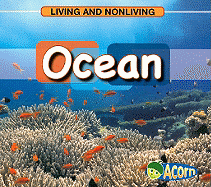 Ocean