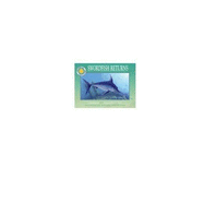Oceanic Collection: Swordfish Returns - Korman, Susan, and Korman, Susan